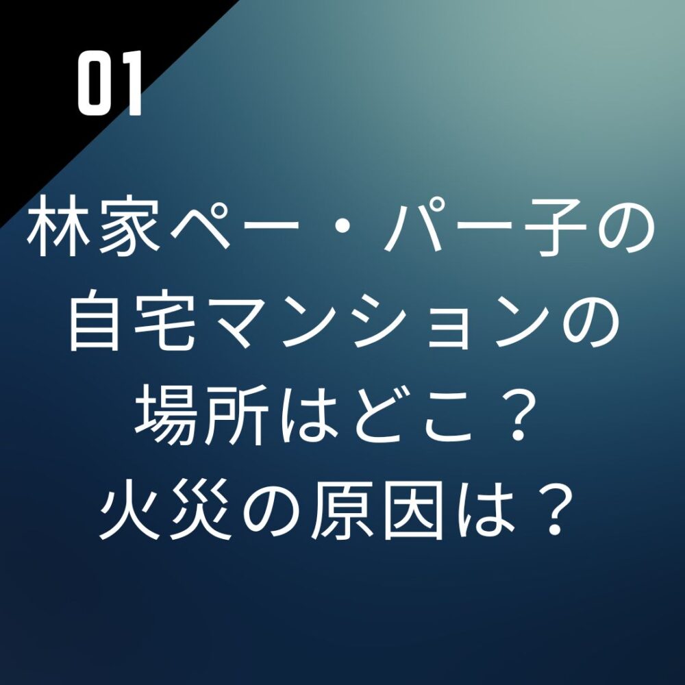 林家ペー・パー子の自宅マンションの場所はどこ？火災の原因は？